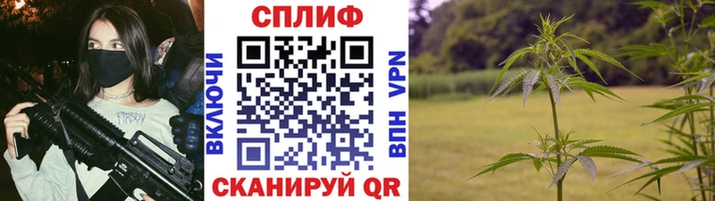 Каннабис White Widow Павлово